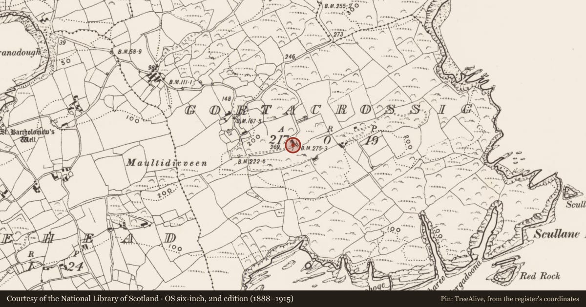 Ordnance Survey six-inch map, 2nd edition (1888–1915) covering the location of Signal tower, Gortacrossig, County Cork, with a pin at the register's coordinates