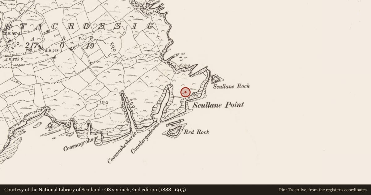 Ordnance Survey six-inch map, 2nd edition (1888–1915) covering the location of Promontory fort - coastal, Gortacrossig, County Cork, with a pin at the register's coordinates