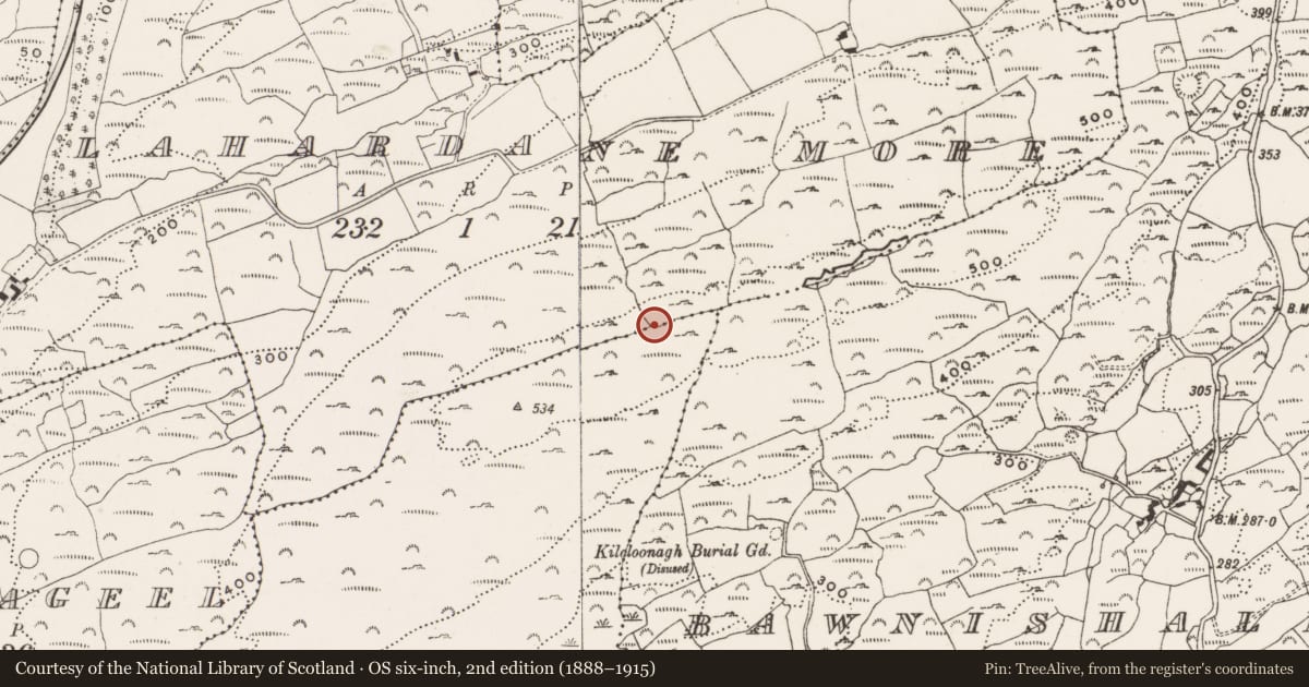 Ordnance Survey six-inch map, 2nd edition (1888–1915) covering the location of Megalithic tomb - wedge tomb, Barryroe, Lahardane More, County Cork, with a pin at the register's coordinates