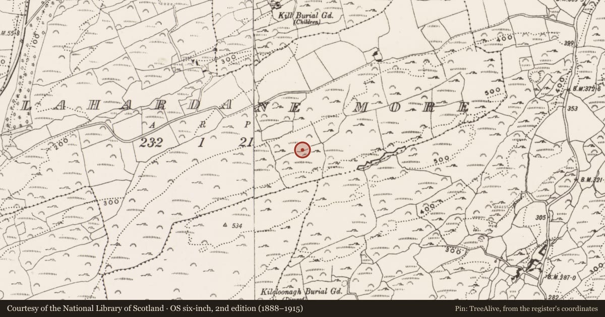 Ordnance Survey six-inch map, 2nd edition (1888–1915) covering the location of Hut site, Lahardane More, County Cork, with a pin at the register's coordinates
