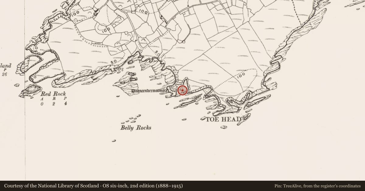 Ordnance Survey six-inch map, 2nd edition (1888–1915) covering the location of Bawn, Toehead, County Cork, with a pin at the register's coordinates