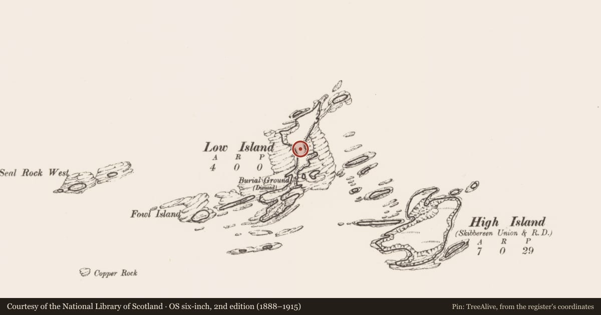 Ordnance Survey six-inch map, 2nd edition (1888–1915) covering the location of Hut site, Low Island, County Cork, with a pin at the register's coordinates