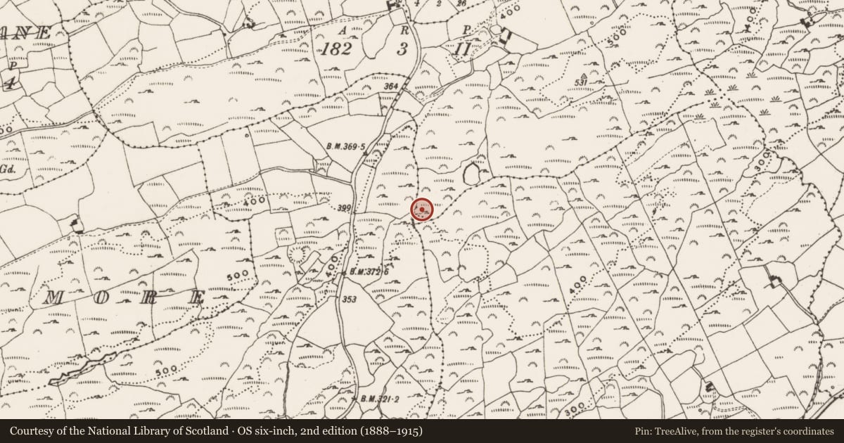 Ordnance Survey six-inch map, 2nd edition (1888–1915) covering the location of Fulacht fia, Bluid West, County Cork, with a pin at the register's coordinates
