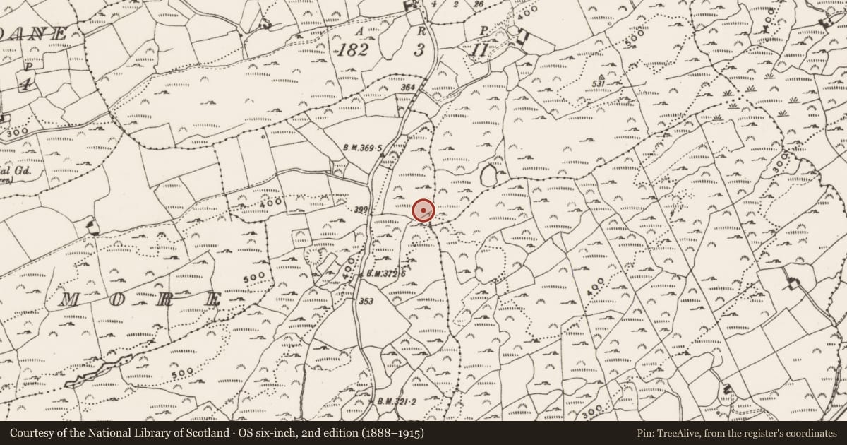 Ordnance Survey six-inch map, 2nd edition (1888–1915) covering the location of Earthwork, Bawnishall, County Cork, with a pin at the register's coordinates