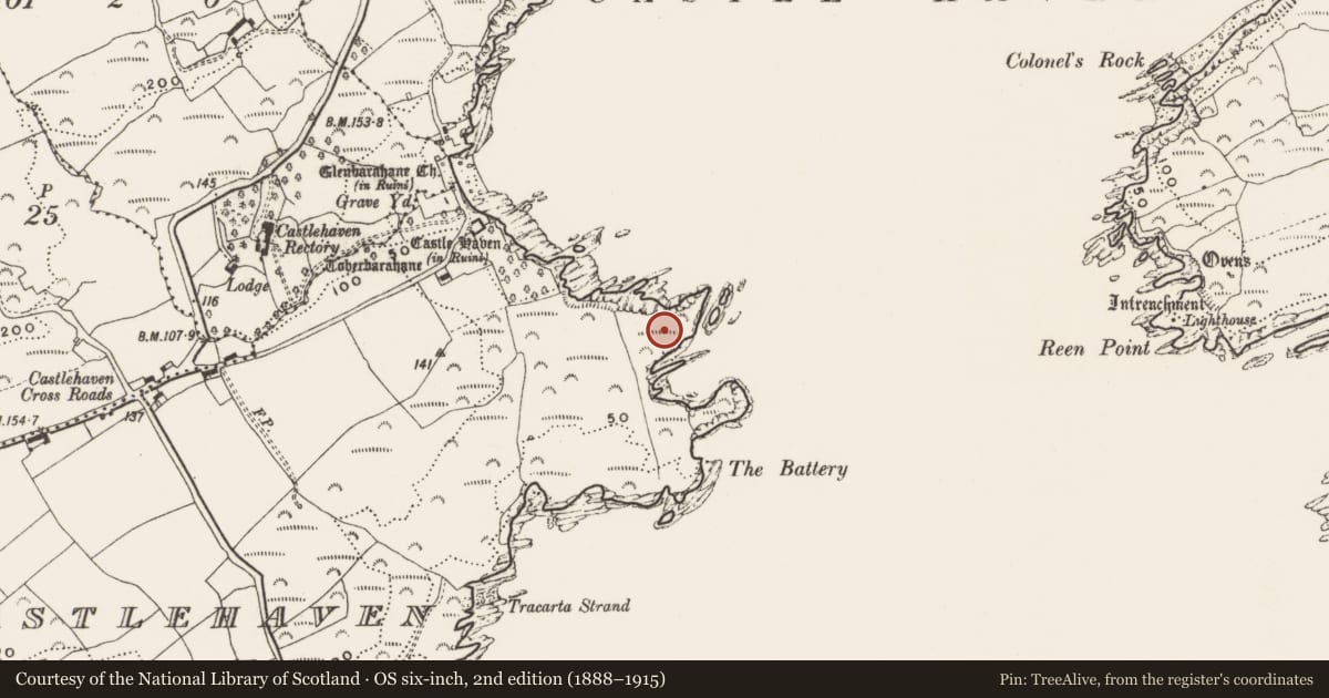 Ordnance Survey six-inch map, 2nd edition (1888–1915) covering the location of Promontory fort - coastal, Castlehaven, County Cork, with a pin at the register's coordinates