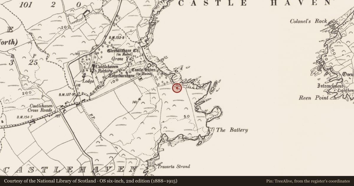 Ordnance Survey six-inch map, 2nd edition (1888–1915) covering the location of Hut site, Castlehaven, County Cork, with a pin at the register's coordinates