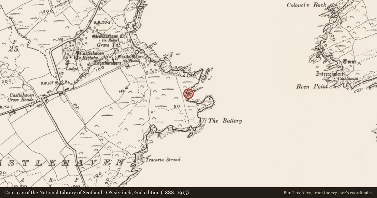 Ordnance Survey six-inch map, 2nd edition (1888–1915) covering the location of Promontory fort - coastal, Castlehaven, County Cork, with a pin at the register's coordinates