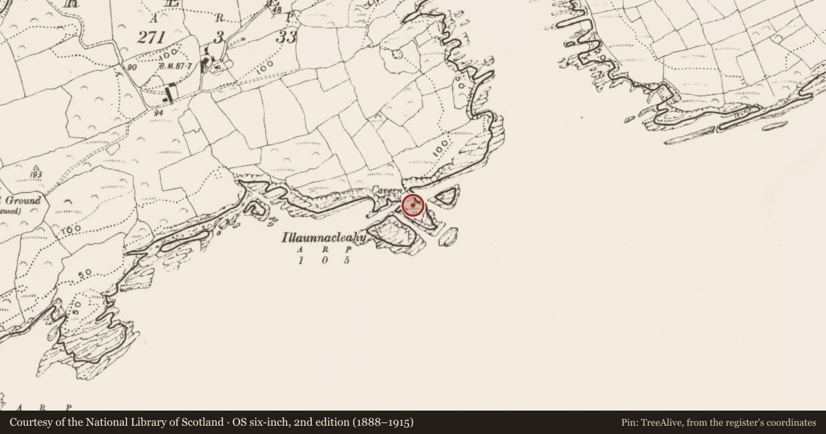 Ordnance Survey six-inch map, 2nd edition (1888–1915) covering the location of Hut site, Reen, County Cork, with a pin at the register's coordinates