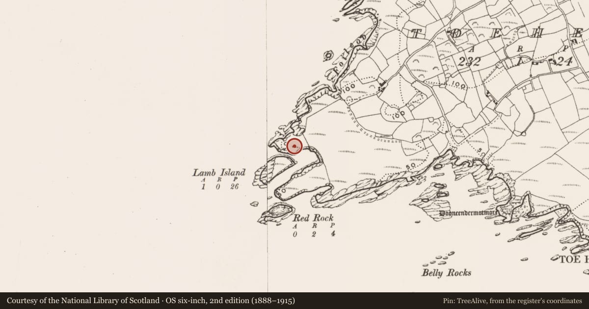 Ordnance Survey six-inch map, 2nd edition (1888–1915) covering the location of Hut site, Toehead, County Cork, with a pin at the register's coordinates