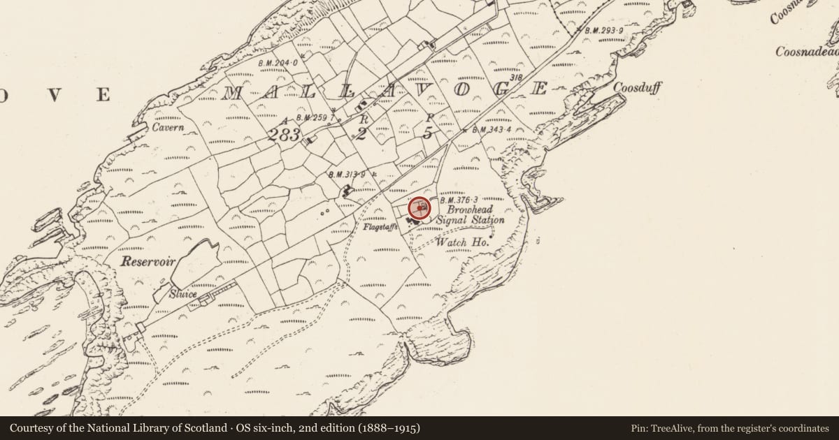 Ordnance Survey six-inch map, 2nd edition (1888–1915) covering the location of Signal tower, Mallavoge, County Cork, with a pin at the register's coordinates