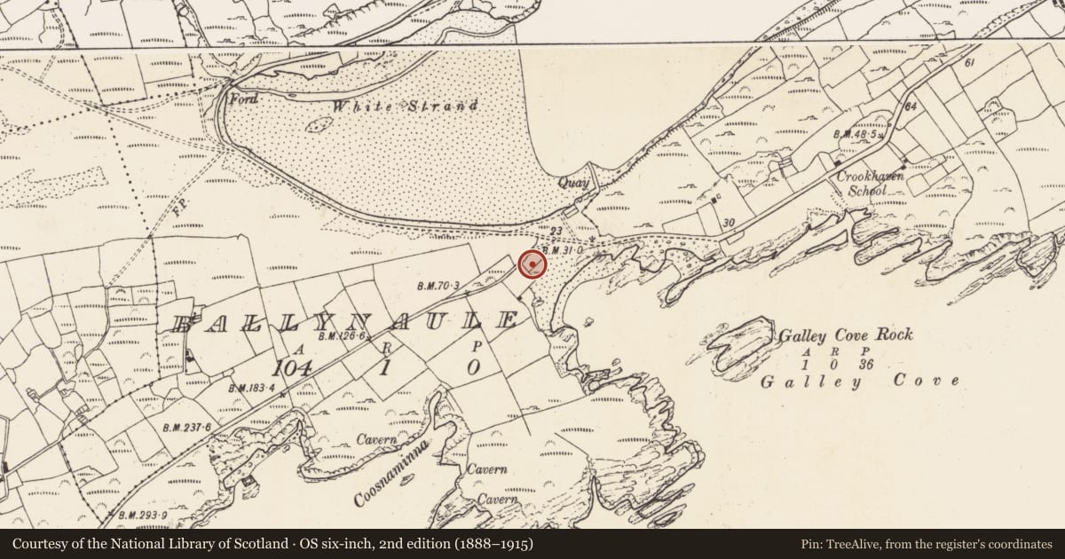 Ordnance Survey six-inch map, 2nd edition (1888–1915) covering the location of Fish palace, Ballynaule, County Cork, with a pin at the register's coordinates