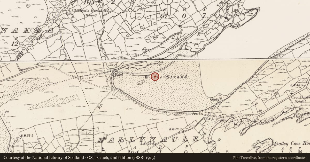 Ordnance Survey six-inch map, 2nd edition (1888–1915) covering the location of Field boundary, Ballynaule, County Cork, with a pin at the register's coordinates