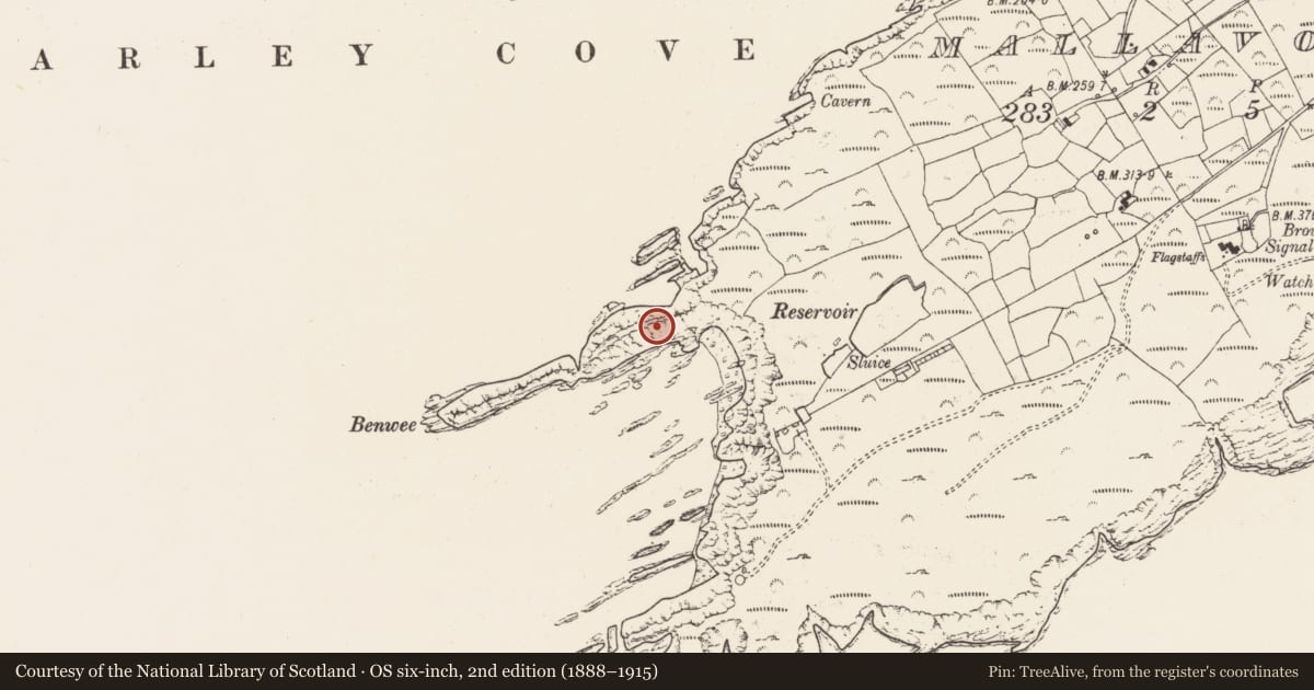 Ordnance Survey six-inch map, 2nd edition (1888–1915) covering the location of Promontory fort - coastal, Mallavoge, County Cork, with a pin at the register's coordinates