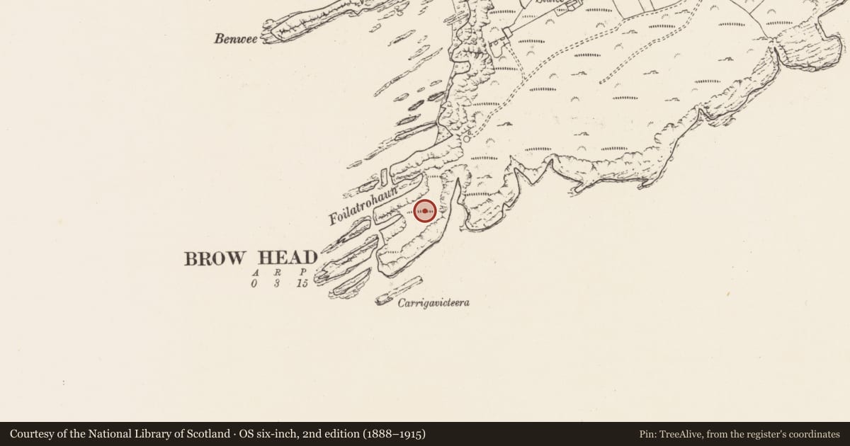 Ordnance Survey six-inch map, 2nd edition (1888–1915) covering the location of Promontory fort - coastal, Mallavoge, County Cork, with a pin at the register's coordinates