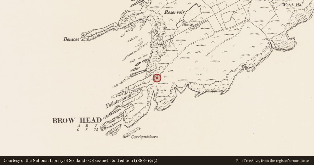 Ordnance Survey six-inch map, 2nd edition (1888–1915) covering the location of Ringfort - cashel, Mallavoge, County Cork, with a pin at the register's coordinates