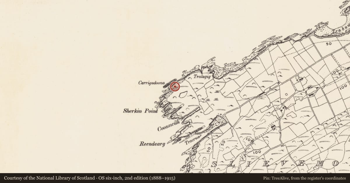 Ordnance Survey six-inch map, 2nd edition (1888–1915) covering the location of Promontory fort - coastal, Slievemore (Sherkin Island), County Cork, with a pin at the register's coordinates