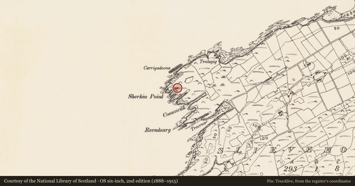 Ordnance Survey six-inch map, 2nd edition (1888–1915) covering the location of Standing stone, Slievemore (Sherkin Island), County Cork, with a pin at the register's coordinates
