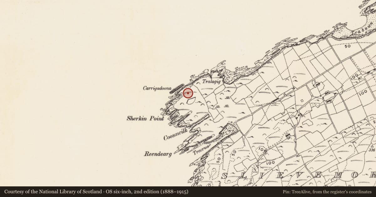 Ordnance Survey six-inch map, 2nd edition (1888–1915) covering the location of Megalithic tomb - wedge tomb, Slievemore (Sherkin Island), County Cork, with a pin at the register's coordinates