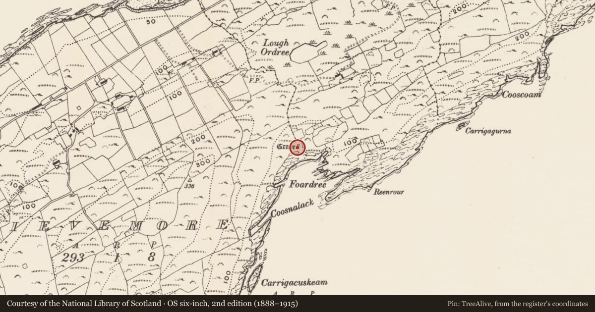 Ordnance Survey six-inch map, 2nd edition (1888–1915) covering the location of Burial, Slievemore (Sherkin Island), County Cork, with a pin at the register's coordinates
