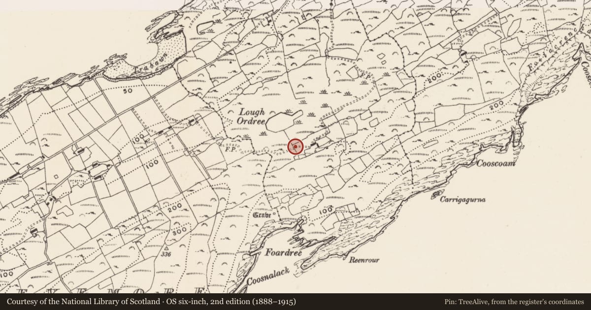 Ordnance Survey six-inch map, 2nd edition (1888–1915) covering the location of Anomalous stone group, Cloddagh (Sherkin Island), County Cork, with a pin at the register's coordinates