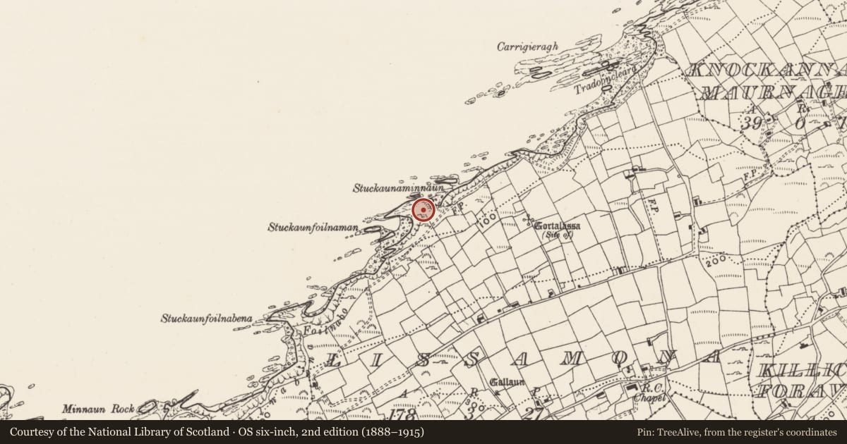 Ordnance Survey six-inch map, 2nd edition (1888–1915) covering the location of Promontory fort - coastal, Lios Ó Móine, County Cork, with a pin at the register's coordinates