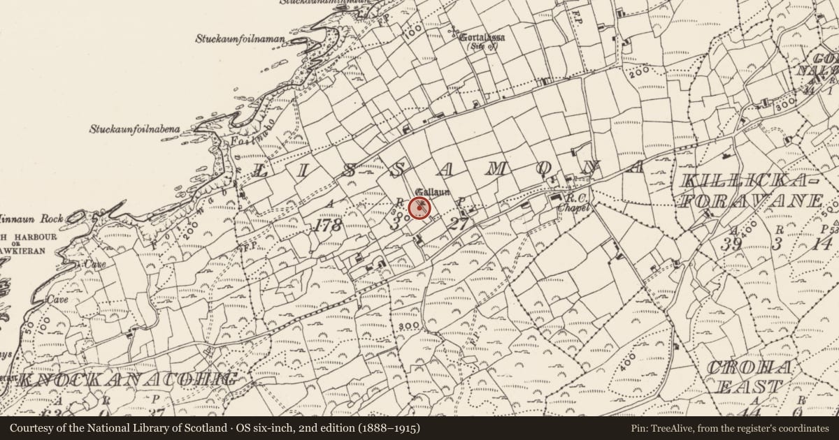 Ordnance Survey six-inch map, 2nd edition (1888–1915) covering the location of Burial ground, Lios Ó Móine, County Cork, with a pin at the register's coordinates