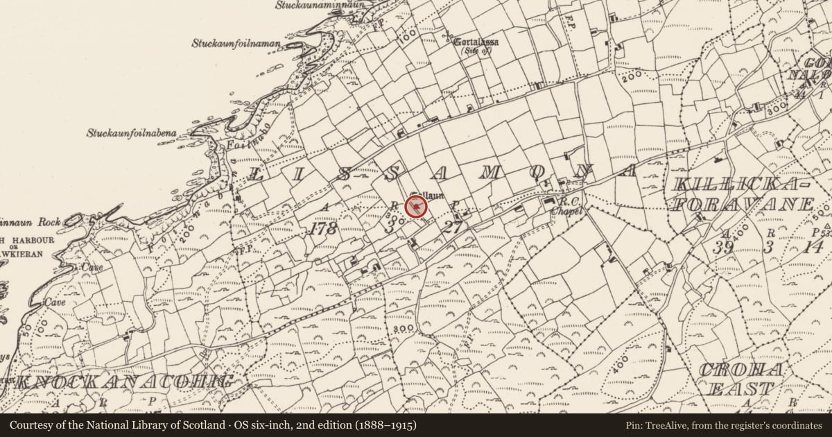 Ordnance Survey six-inch map, 2nd edition (1888–1915) covering the location of Cross-slab, Lios Ó Móine, County Cork, with a pin at the register's coordinates