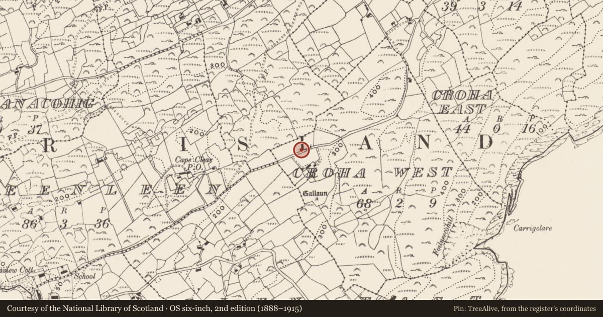 Ordnance Survey six-inch map, 2nd edition (1888–1915) covering the location of Passage tomb art, Crathach Thiar (Cléire), County Cork, with a pin at the register's coordinates