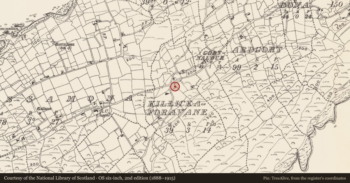 Ordnance Survey six-inch map, 2nd edition (1888–1915) covering the location of Burial ground, Cill Leice Fórabháin (Cléire), County Cork, with a pin at the register's coordinates