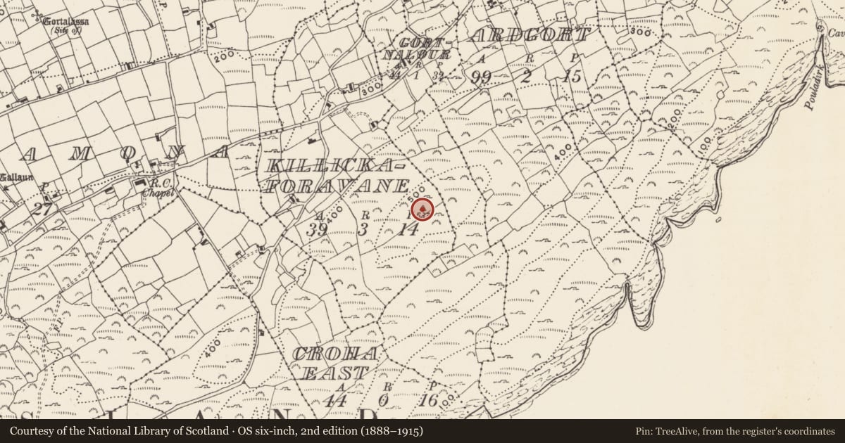 Ordnance Survey six-inch map, 2nd edition (1888–1915) covering the location of Megalithic tomb - passage tomb, Cill Leice Fórabháin (Cléire), County Cork, with a pin at the register's coordinates