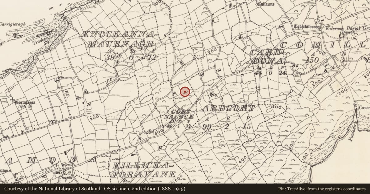 Ordnance Survey six-inch map, 2nd edition (1888–1915) covering the location of Boulder-burial, Gort Na Lobhar (Cléire), County Cork, with a pin at the register's coordinates