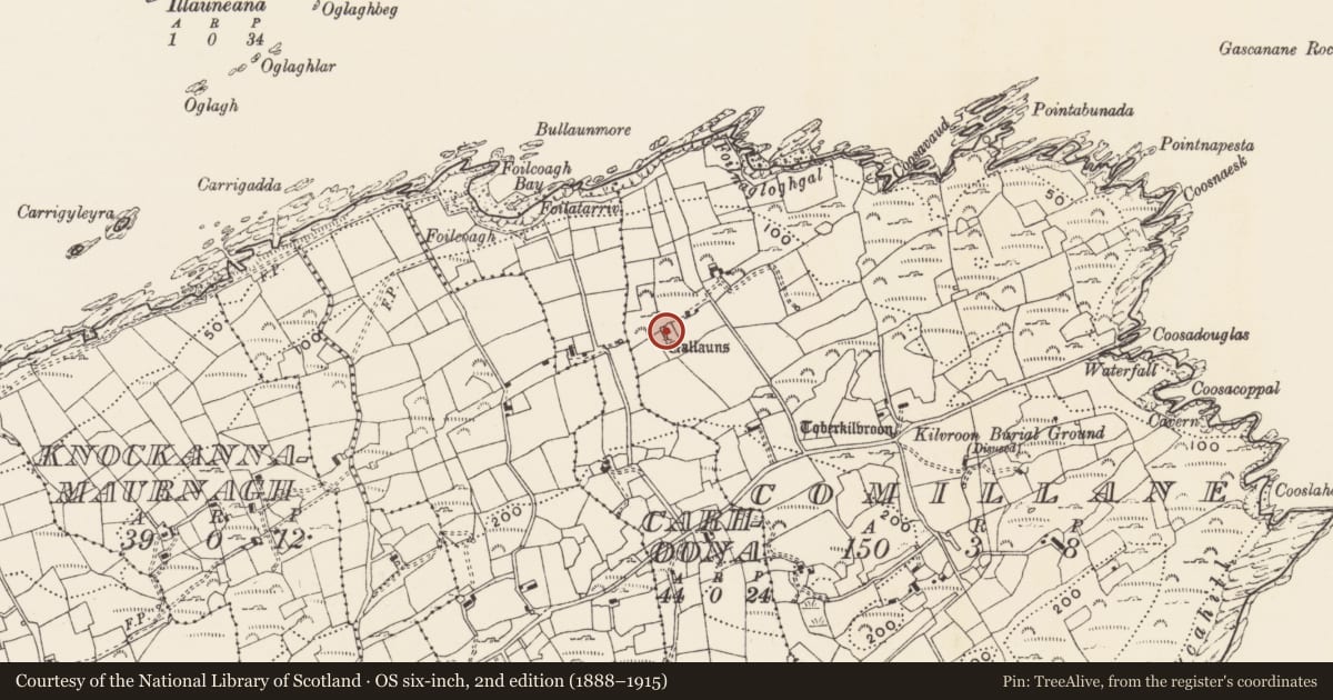 Ordnance Survey six-inch map, 2nd edition (1888–1915) covering the location of Stone row, Comalán (Cléire), County Cork, with a pin at the register's coordinates