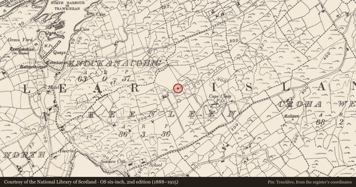 Ordnance Survey six-inch map, 2nd edition (1888–1915) covering the location of Pillar stone (present location), Coinlín (Cléire), County Cork, with a pin at the register's coordinates
