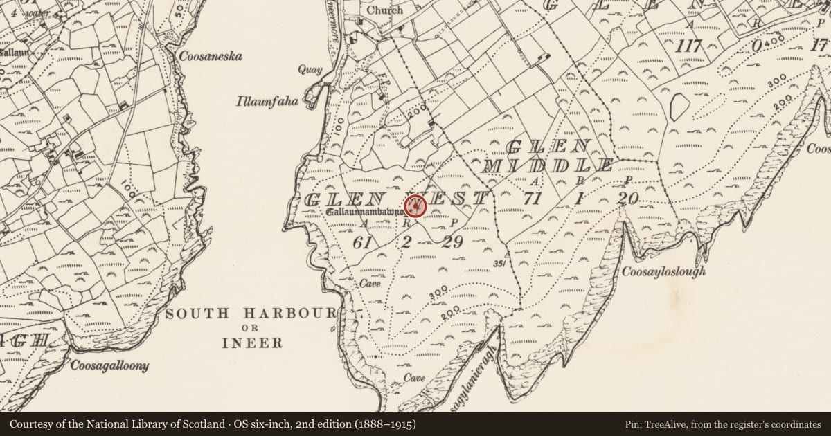 Ordnance Survey six-inch map, 2nd edition (1888–1915) covering the location of Standing stone, Gleann Iarthach (Cléire), County Cork, with a pin at the register's coordinates