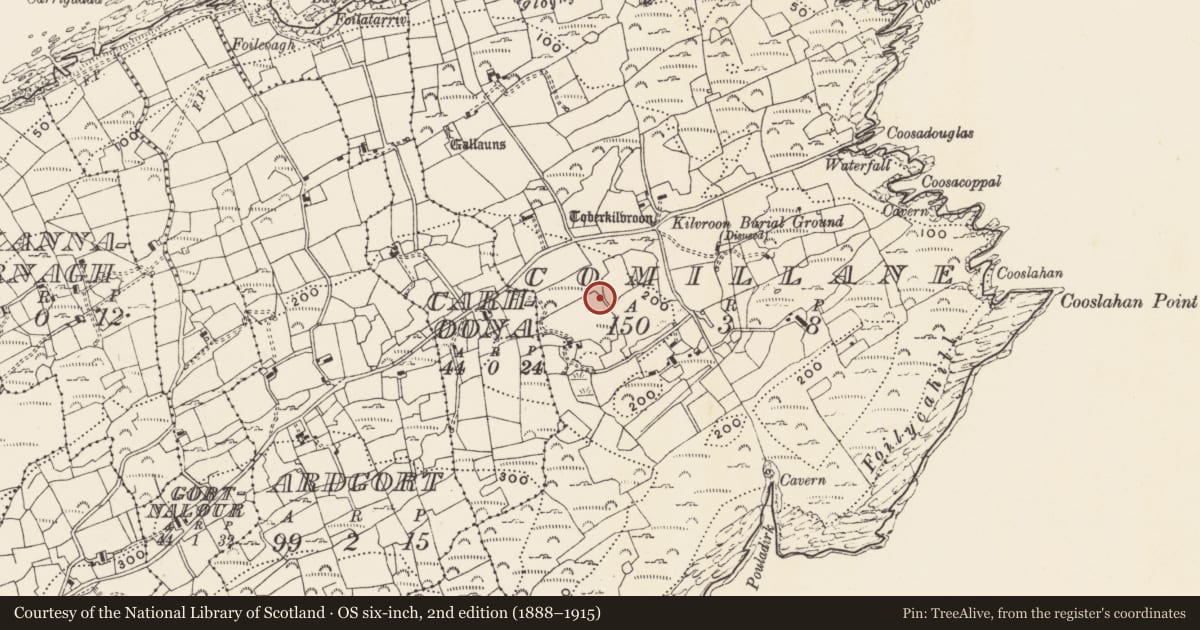 Ordnance Survey six-inch map, 2nd edition (1888–1915) covering the location of Cupmarked stone, Comalán (Cléire), County Cork, with a pin at the register's coordinates