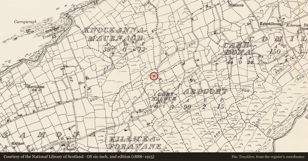 Ordnance Survey six-inch map, 2nd edition (1888–1915) covering the location of Fulacht fia, Cnocán Na Mbairneach, County Cork, with a pin at the register's coordinates