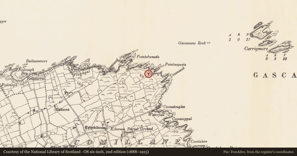 Ordnance Survey six-inch map, 2nd edition (1888–1915) covering the location of Cupmarked stone, Comalán (Cléire), County Cork, with a pin at the register's coordinates