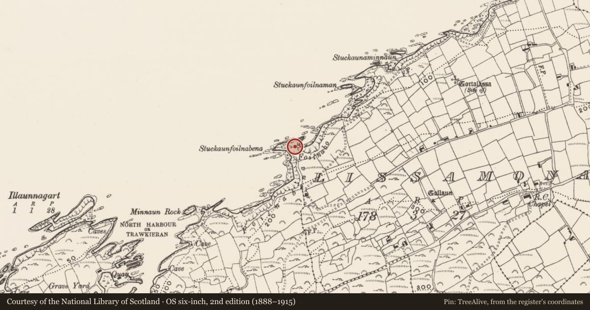 Ordnance Survey six-inch map, 2nd edition (1888–1915) covering the location of Promontory fort - coastal, Lios Ó Móine, County Cork, with a pin at the register's coordinates