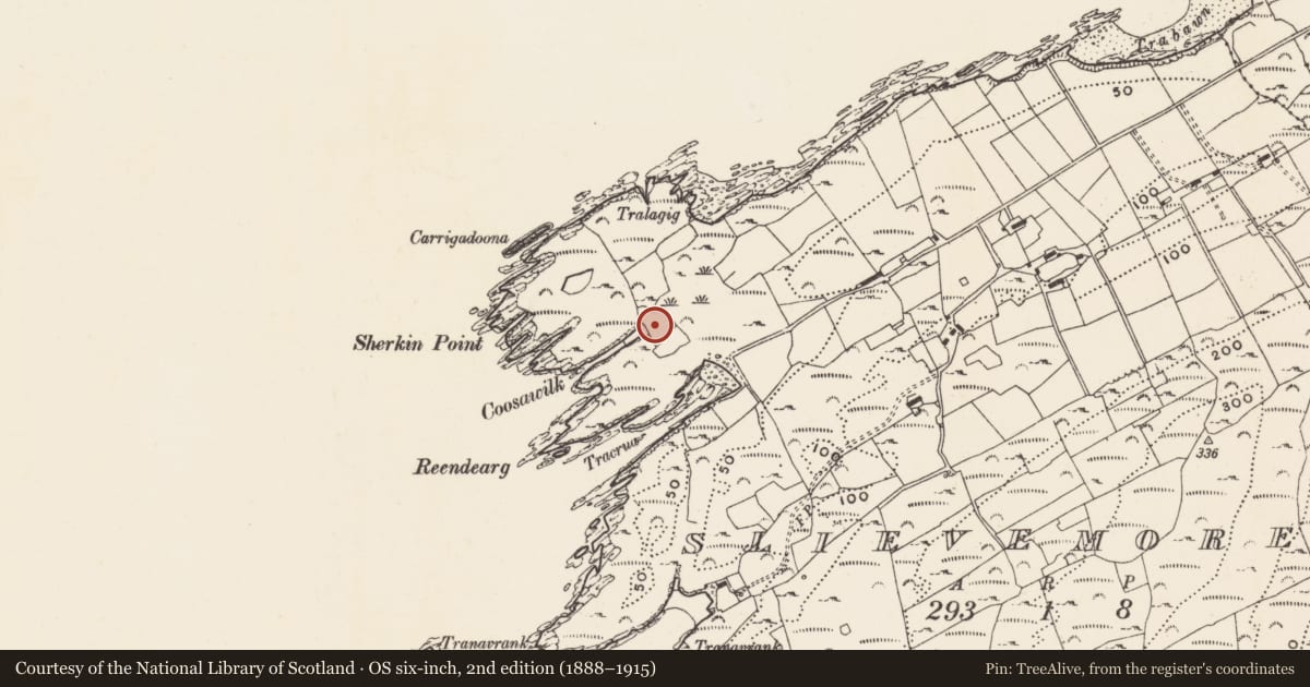 Ordnance Survey six-inch map, 2nd edition (1888–1915) covering the location of Enclosure, Slievemore (Sherkin Island), County Cork, with a pin at the register's coordinates