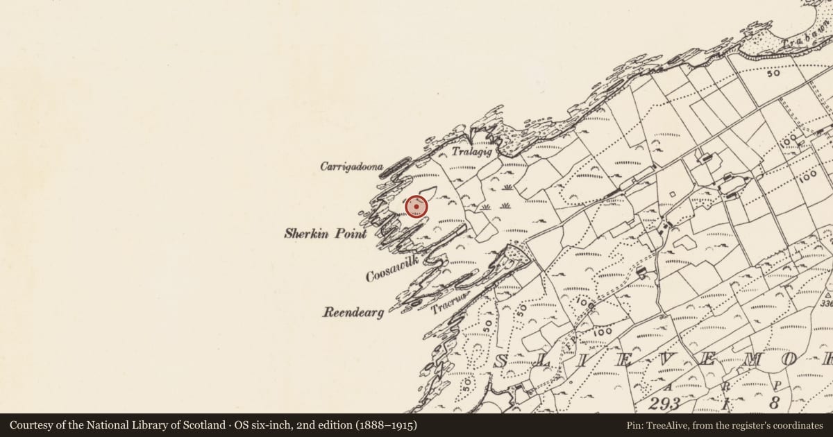 Ordnance Survey six-inch map, 2nd edition (1888–1915) covering the location of Hut site, Slievemore (Sherkin Island), County Cork, with a pin at the register's coordinates