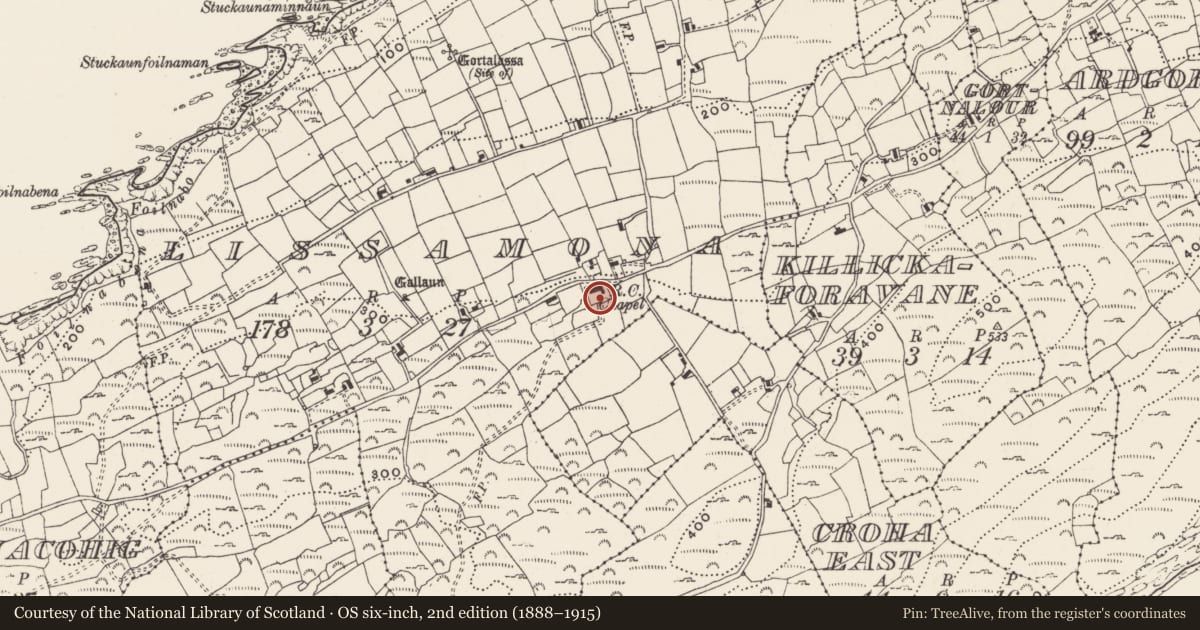 Ordnance Survey six-inch map, 2nd edition (1888–1915) covering the location of Cupmarked stone (present location), Lios Ó Móine, County Cork, with a pin at the register's coordinates