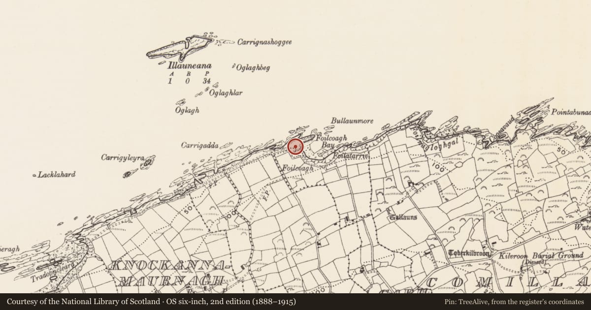 Ordnance Survey six-inch map, 2nd edition (1888–1915) covering the location of Promontory fort - coastal, Ceathrúna (Cléire), County Cork, with a pin at the register's coordinates