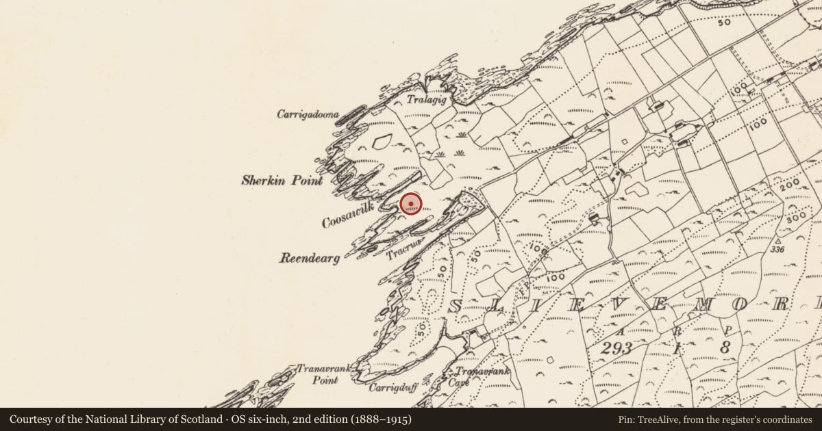 Ordnance Survey six-inch map, 2nd edition (1888–1915) covering the location of Enclosure, Slievemore (Sherkin Island), County Cork, with a pin at the register's coordinates