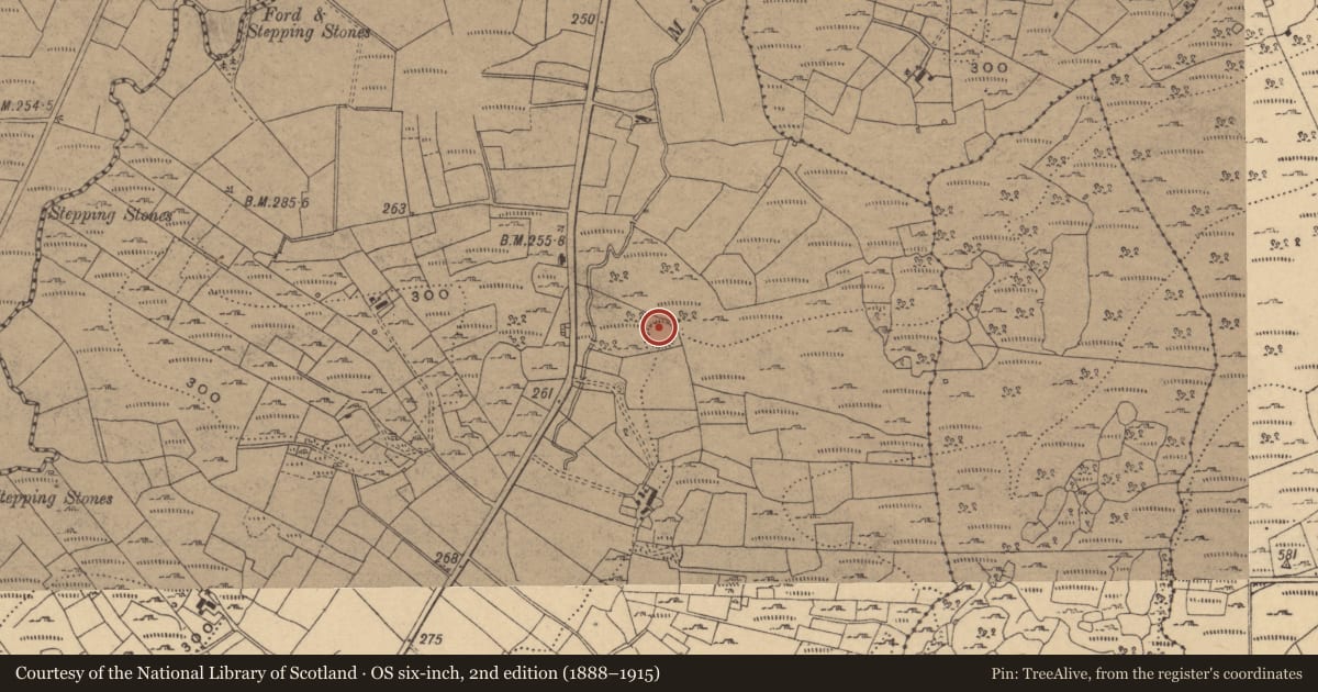 Ordnance Survey six-inch map, 2nd edition (1888–1915) covering the location of Ringfort - rath, Barran, County Cavan, with a pin at the register's coordinates