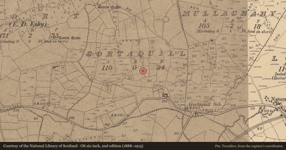 Ordnance Survey six-inch map, 2nd edition (1888–1915) covering the location of Ringfort - cashel, Gortaquill, County Cavan, with a pin at the register's coordinates