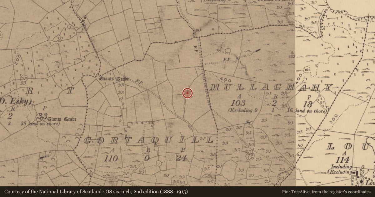 Ordnance Survey six-inch map, 2nd edition (1888–1915) covering the location of Ringfort - rath, Gortaquill, County Cavan, with a pin at the register's coordinates