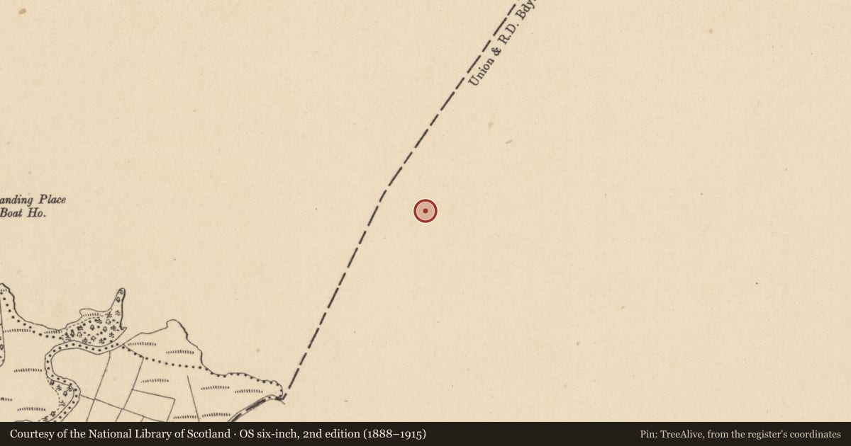Ordnance Survey six-inch map, 2nd edition (1888–1915) covering the location of Castle - Anglo-Norman masonry castle, Port, County Cavan, with a pin at the register's coordinates