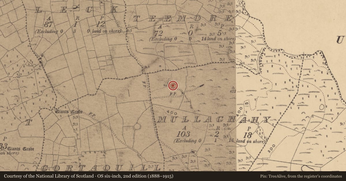 Ordnance Survey six-inch map, 2nd edition (1888–1915) covering the location of Ringfort - rath, Mullaghahy, County Cavan, with a pin at the register's coordinates