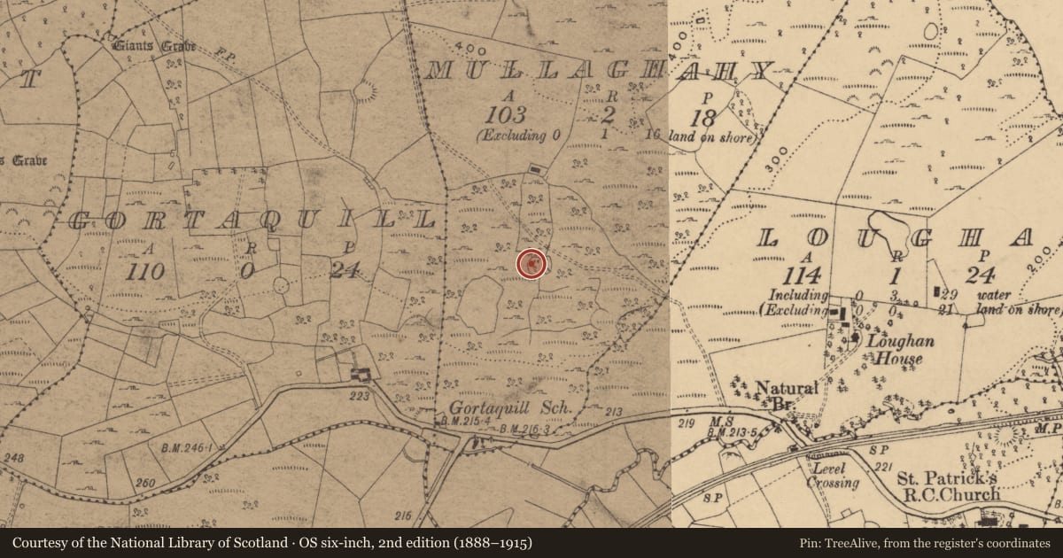 Ordnance Survey six-inch map, 2nd edition (1888–1915) covering the location of Ringfort - cashel, Mullaghahy, County Cavan, with a pin at the register's coordinates