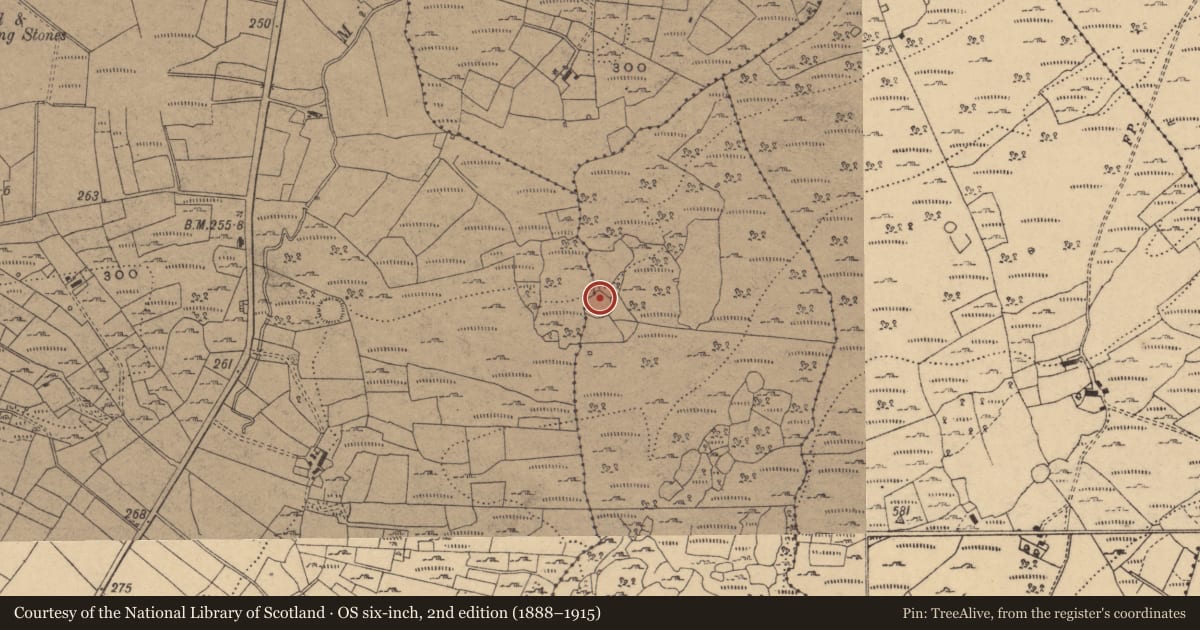 Ordnance Survey six-inch map, 2nd edition (1888–1915) covering the location of Enclosure, Oggal, County Cavan, with a pin at the register's coordinates